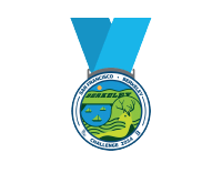 Challenge Medal